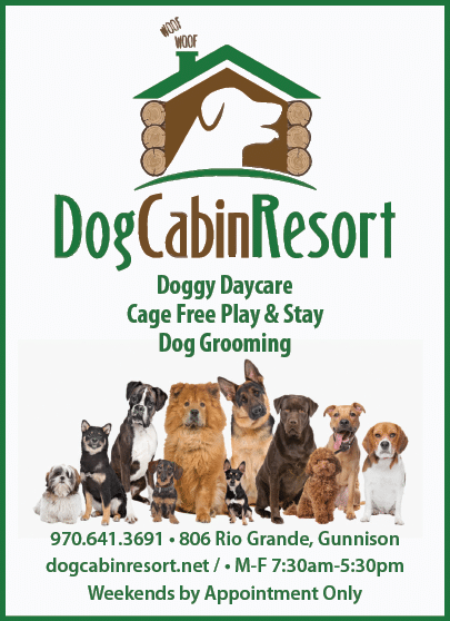 A flyer advertising a dog cabin resort with a picture of dogs. AI generated content